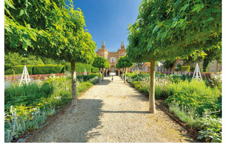 Garden Design