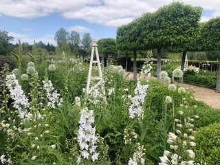 Garden Design